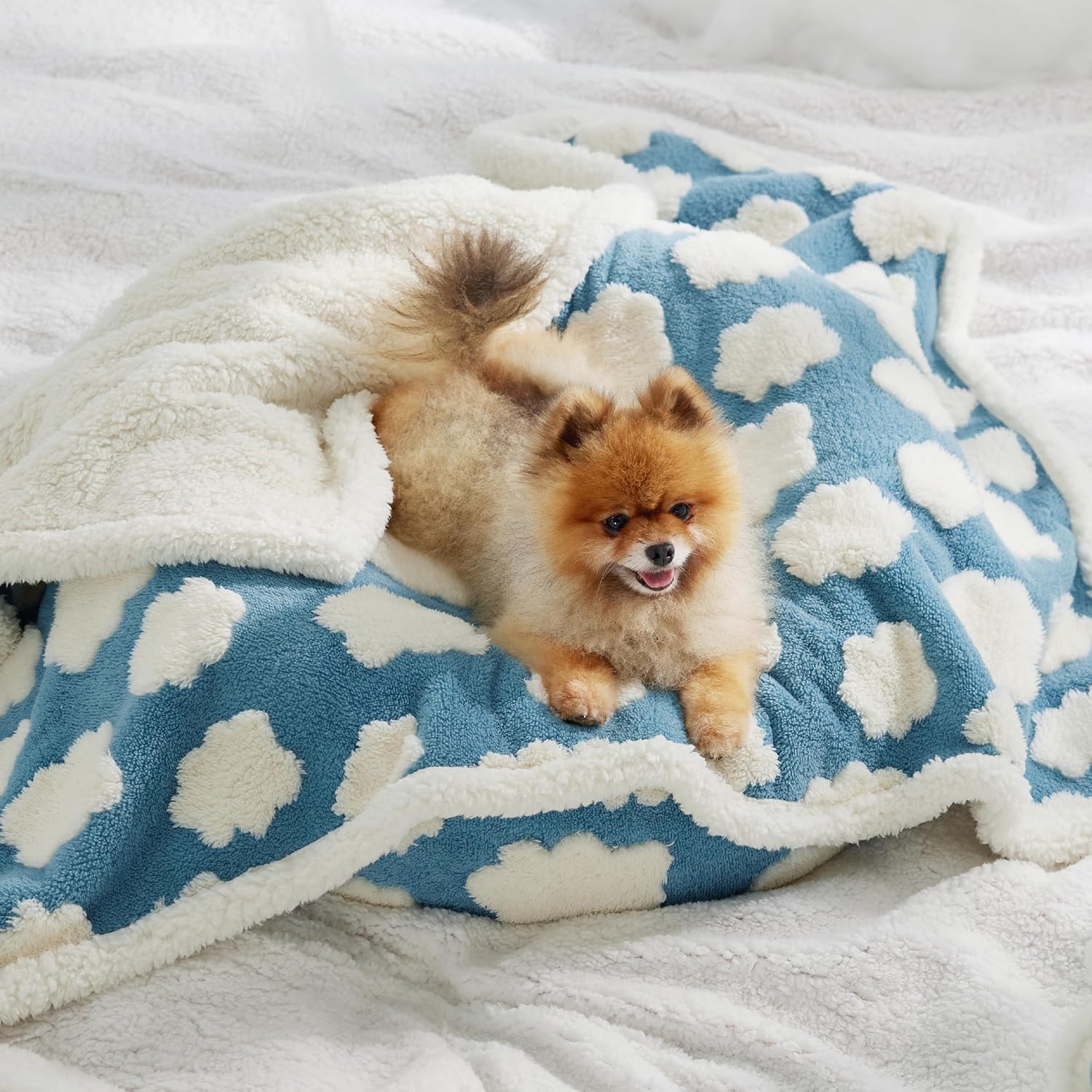 LE SURE Waterproof Puppy Blanket for Small Dogs - Washable Double Sided Dog Blankets with Warm Jacquard Shag and Soft Sherpa Fleece, Pet Cat Blanket for Couch Protection, 3D Textured Cloud, Blue - Image 8
