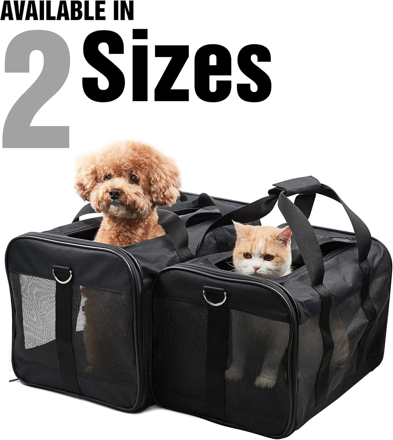 HITCH ScratchMe Pet Travel Carrier Soft Sided Portable Bag for Cats, Small Dogs, Kittens or Puppies, Collapsible, Durable, Airline Approved, Carry Your Pet with You Safely and Comfortably (M) - Image 3