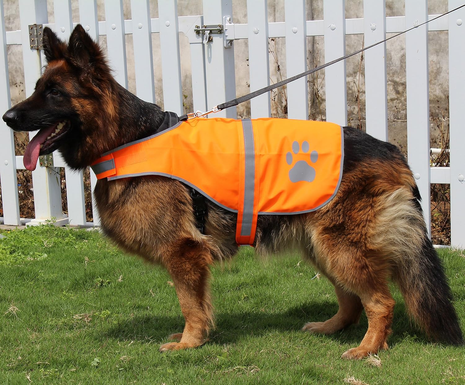 Dog Reflective Vest High Visibility Safety Jacket for Walking Running Hiking to Keep Dogs Visible Safe from Cars and Hunting Accidents Orange XL - Image 5