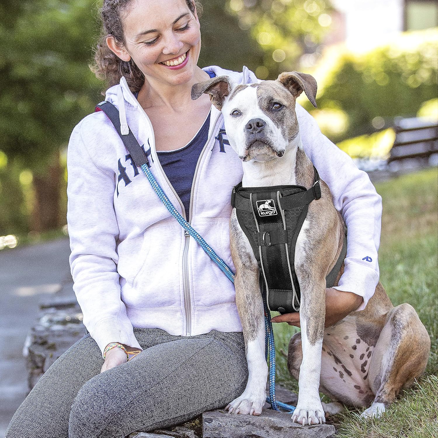 Kurgo Tru-Fit Smart Harness, Dog Harness, Pet Walking Harness, Quick Release Buckles, Front D-Ring for No Pull Training, Includes Dog Seat Belt Tether (Black, X-Small) - Image 3