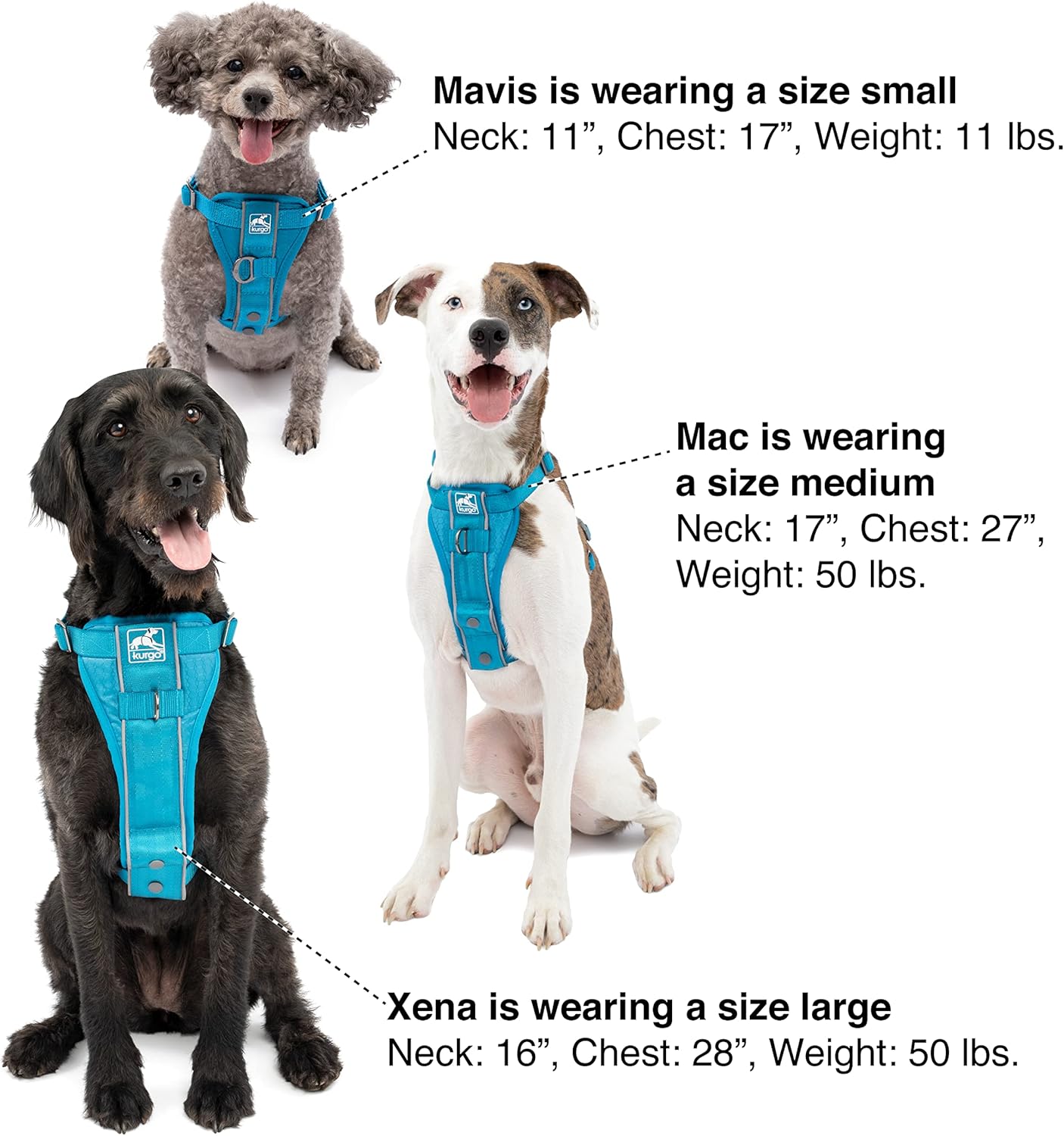 Kurgo Tru-Fit Smart Harness, Dog Harness, Pet Walking Harness, Quick Release Buckles, Front D-Ring for No Pull Training, Includes Dog Seat Belt Tether (Black, X-Small) - Image 5