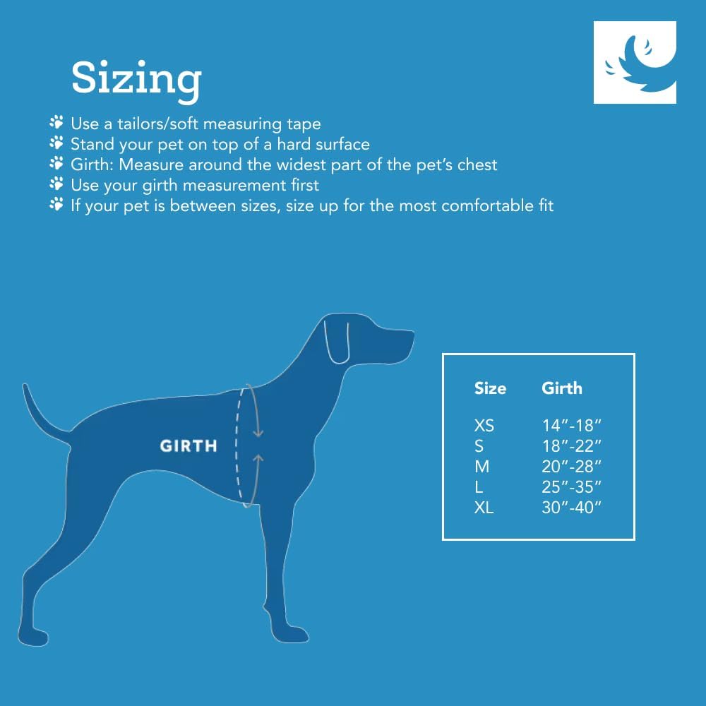 RC Pets Multi-Use, Sturdy, Breathable Moto Control Harness for Dogs and Cats | X-Small, Black/Grey (X-Small, Arctic Blue/Tennis) - Image 3