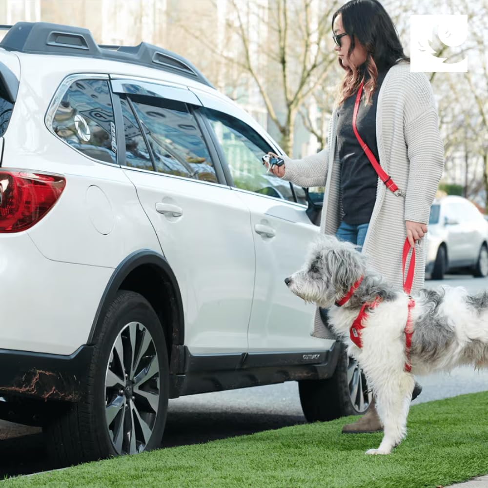 RC Pets Multi-Use, Sturdy, Breathable Moto Control Harness for Dogs and Cats | X-Small, Black/Grey (X-Small, Arctic Blue/Tennis) - Image 7