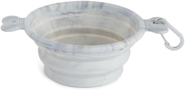 EveryYay Open-Air Eats Collapsible Bowl for Dogs 3 Cups - Image 5