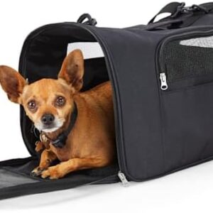 EveryYay Going Places to Go Black Pet Carrier Small