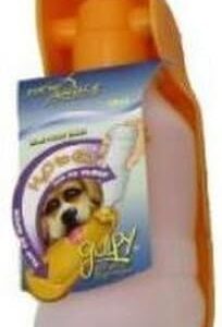 Water Dispenser for Pet, 10-Ounce, Orange
