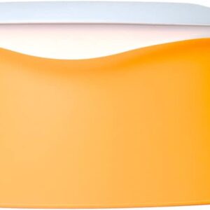 Yummy Travel Bowls – BPA-Free Silicone, 3-in-1 Travel Bowl Set for Dogs and Cats (Medium, Mango Tango)