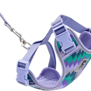 RC Pets Adventure Kitty Cat Harness | Adjustable Airmesh Vest with D-Ring and 6ft Leash for Walking and Travel | Maze, Large