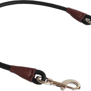 MayPaw Training Tie Down- Short Dog Tether Indoor- Strong Rope Dog Car Leash Seat Belt- 5 Sizes Vehicle Safety Restraint Lead for Small Medium Large Dogs, 24 Inch