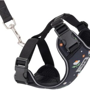 RC Pets Adventure Kitty Cat Harness | Adjustable Airmesh Vest with D-Ring and 6ft Leash for Walking and Travel | Daisies, Large