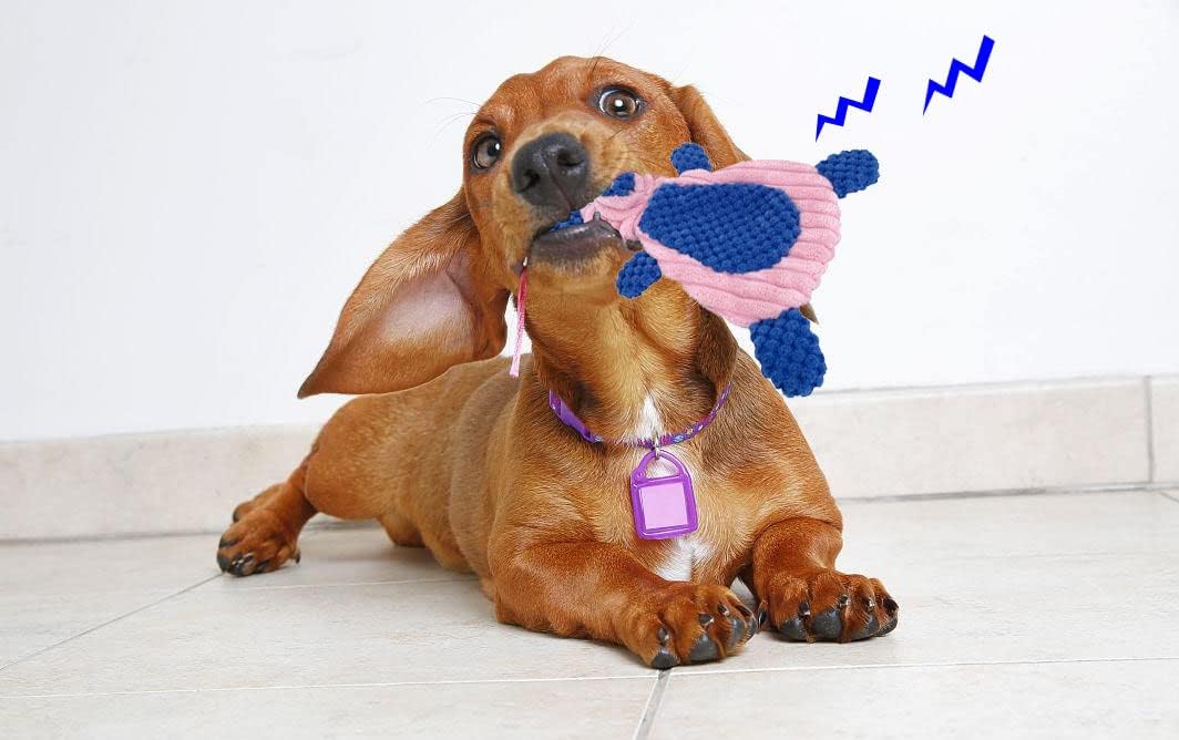 Comtim 2 Pack Durable Dog Chew Toys, Unstuffed Squeaky Dog Toys for Small Dogs and Puppies - Image 5