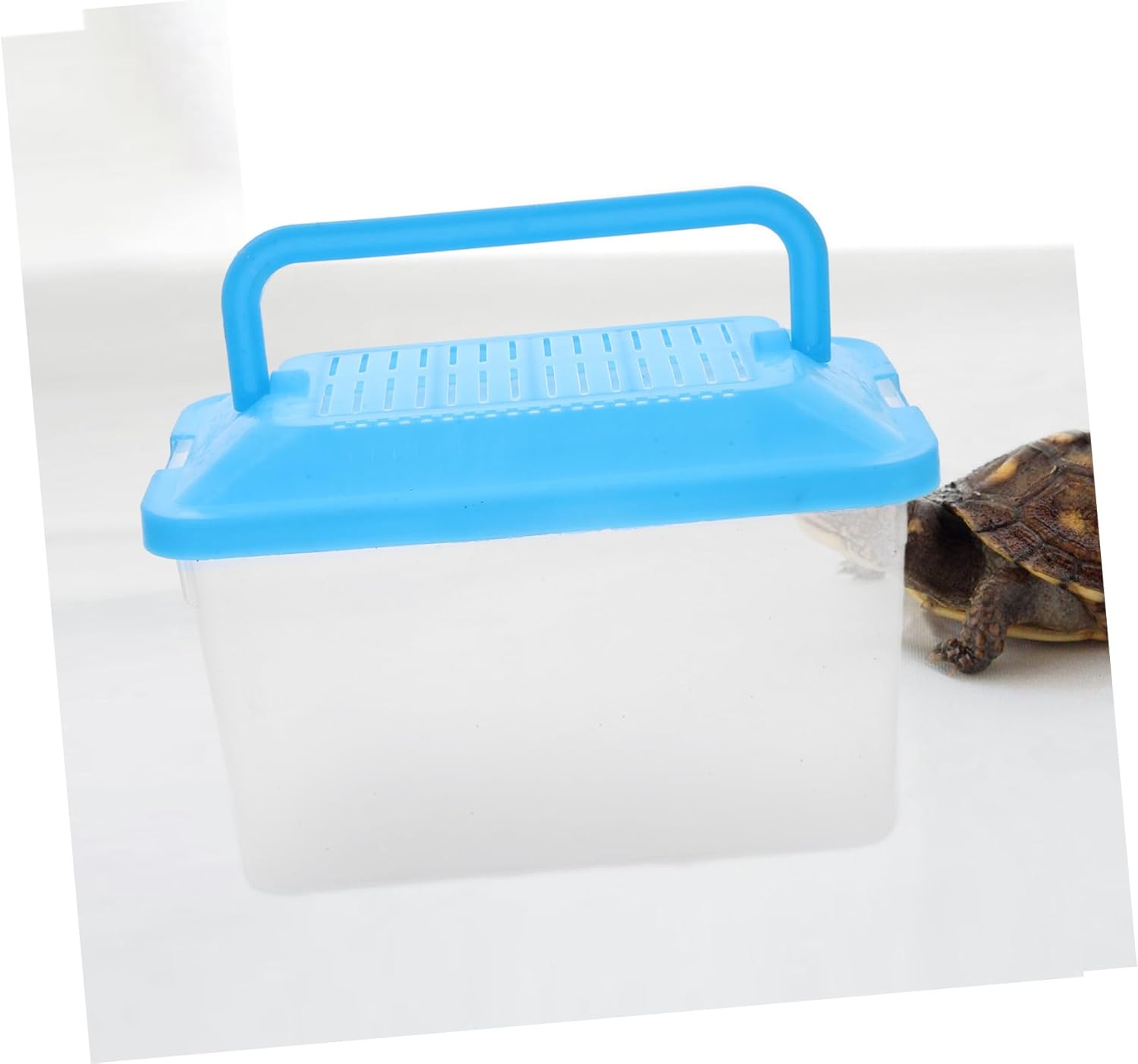 BESPORTBLE Portable Handheld Aquarium Tank for Pets Transparent Turtle Box and Hamster Carrier Lightweight and Compact Design for Travel and Feeding Lid - Image 8
