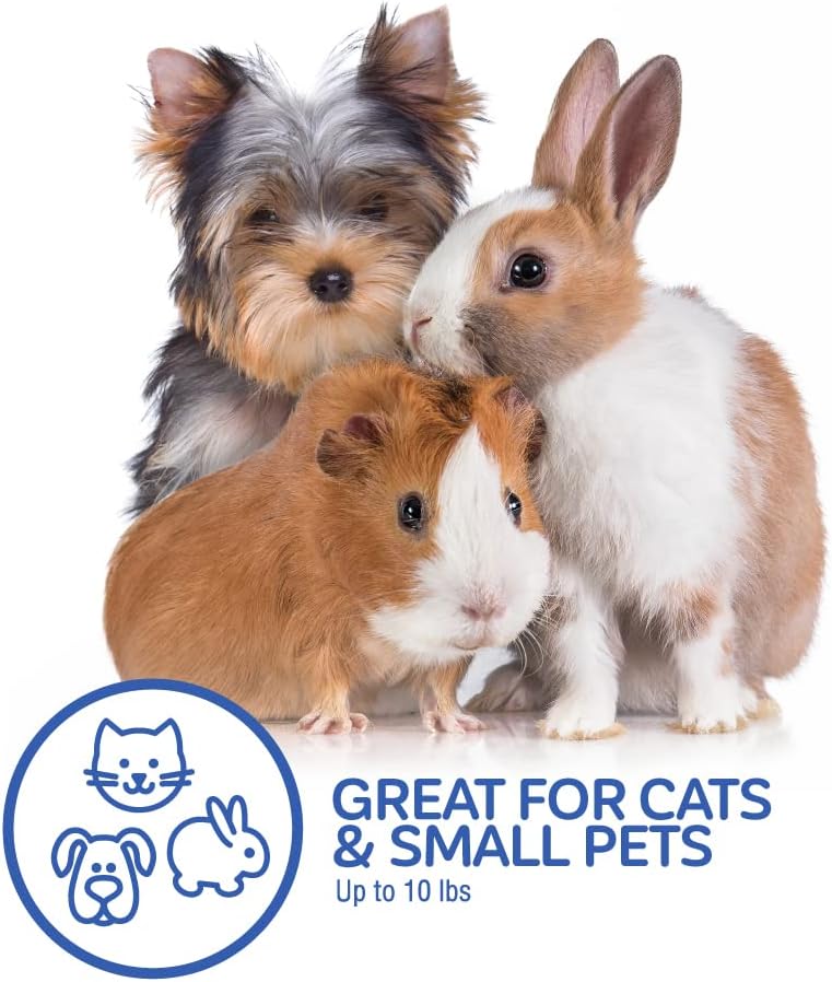 Petmate Dog Crates for Small Dogs & Cat Carriers, One-Door Plastic Pet Kennel, Front Loading, Made in USA, 19", Green - Image 6