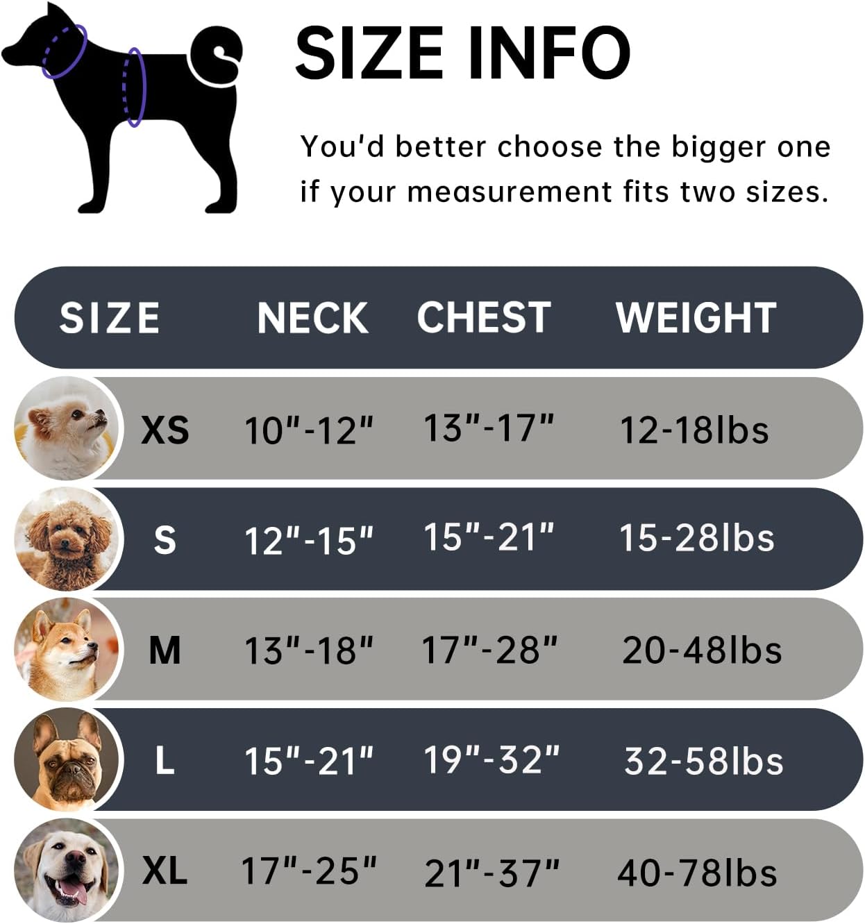 IVY&LANE No Pull Dog Harness for Medium Dogs, Dog Vest Harness with Leash, Safety Belt and Storage Strap, Fully Adjustable Harness, 360° Reflective Strip, Soft Handle (Black, M) - Image 2