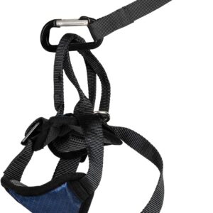 PetSafe Happy Ride Dog Safety Harness for Cars - Dog Car Harness Includes Seat Belt Tether - Keeps Pets Restrained - Breathable Mesh, Adjustable Straps - Dog Travel Accessories for Car - Small