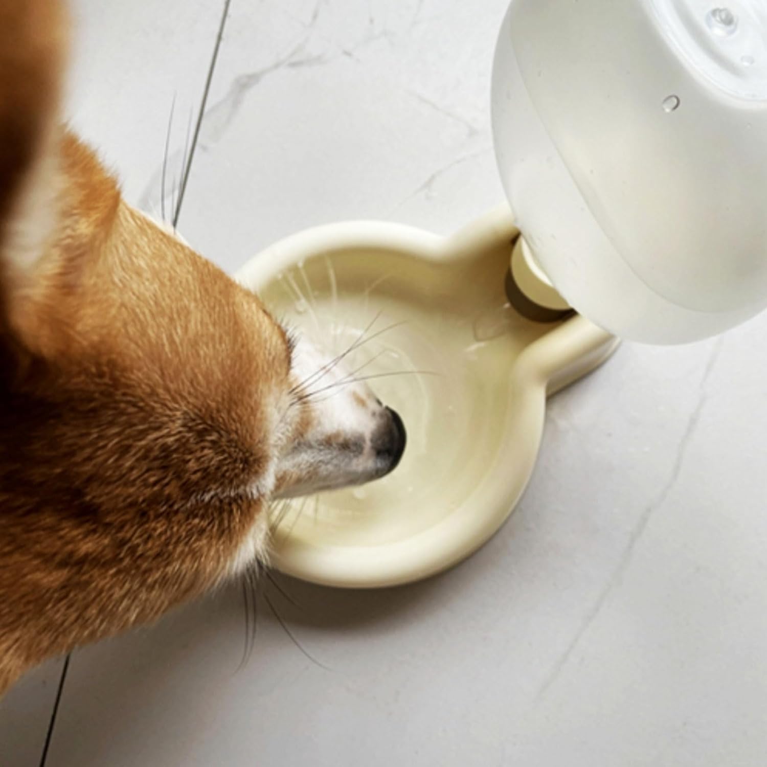 Portable Dog Water Bottle Dispenser, 17oz Dog Outdoor Water Bottle Bowl Foldable Pet Travel Eating Drinking Bottle Bowl (White, 16.9oz) - Image 6