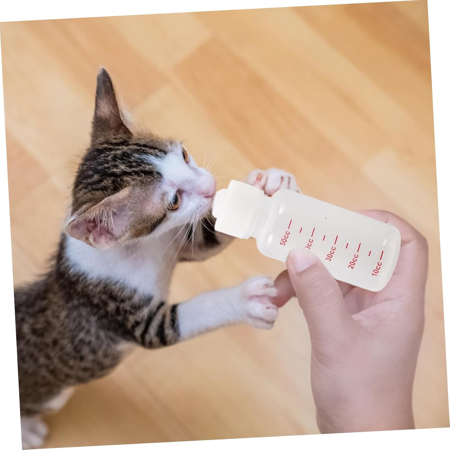 Kisangel 3sets Pet Nursing Bottle for Kittens and Puppies Feeding Kit Lightweight Portable Easy to Use for Hand Feeding Pets - Image 3