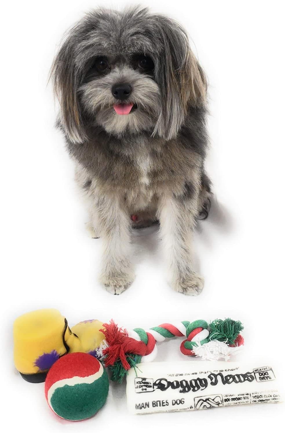 Christmas Stocking for Dogs. Squeaky newspaper toy, squeaky boot toy, a red, green and white tennis ball and a red, white and green cotton knotted rope. - Image 4