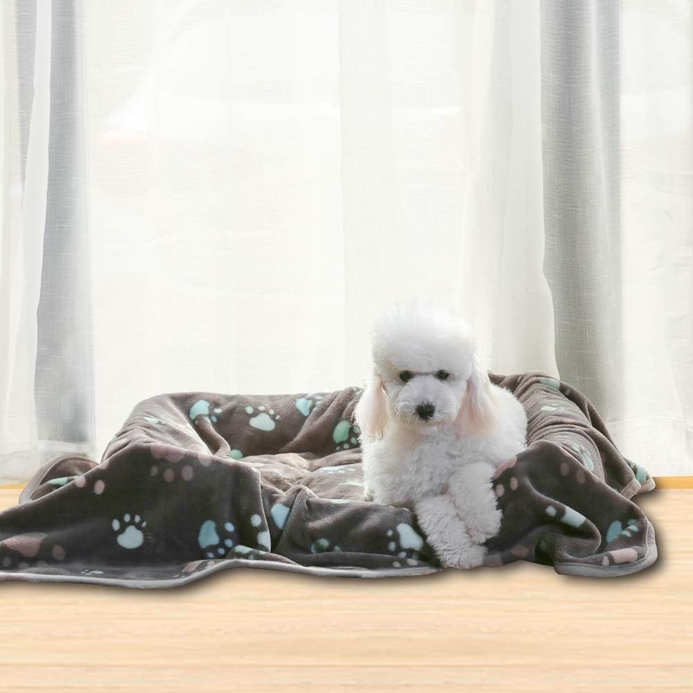 Allisandro 350 GSM Super Soft and Premium Fuzzy Flannel Fleece Pet Dog Blanket, The Cute Print Design Washable Fluffy Blanket for Puppy Cat Kitten Indoor or Outdoor, Grey, 64 x 40 Inches - Image 9