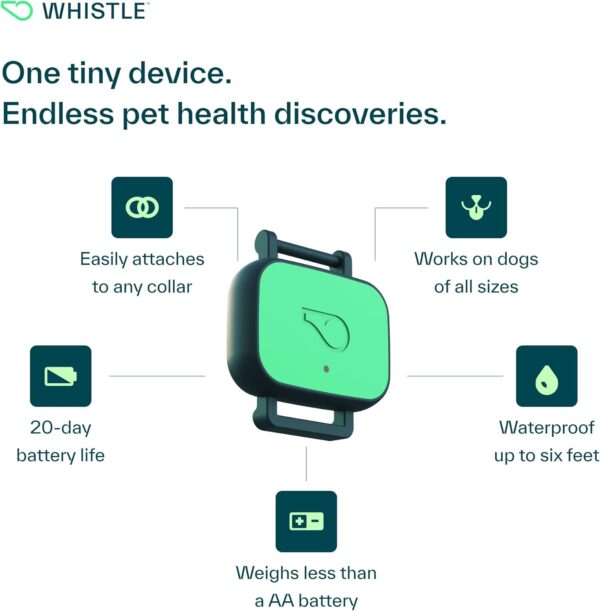 Whistle Health Smart Device | Dog Health and Fitness Tracker | Track Scratching, Licking, Drinking, Eating, Sleeping, and Activity, Green - Image 8