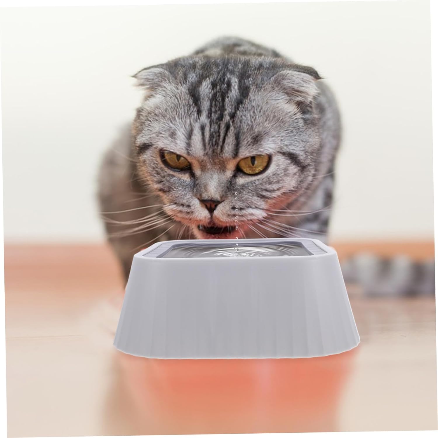 No Spill PET Water Bowl for Dogs and Cats Floating Tip Design 1.5L Capacity Easy PET Feeder with Non-Slip Base for Home and Travel - Image 5