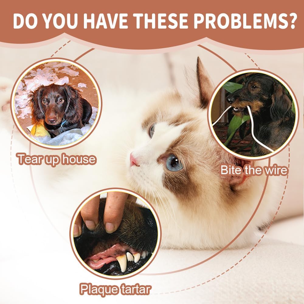 Shaky Ball Toy for Dogs, 2025 New Interactive Dogs Toy Durable Automatic Rolling Balls, Rechargeable Smart Dog Ball Chew Resistant Dog Balls for Indoor Play (Blue) - Image 5