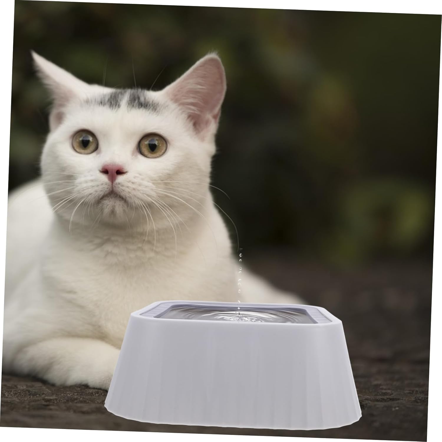 No Spill PET Water Bowl for Dogs and Cats Floating Tip Design 1.5L Capacity Easy PET Feeder with Non-Slip Base for Home and Travel - Image 4