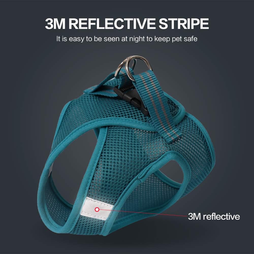 HEYWEAN Cat Harness and Leash - Ultra Light Escape Proof Kitten Collar Cat Walking Jacket with Running Cushioning Soft and Comfortable Suitable for Puppies Rabbits - Image 6