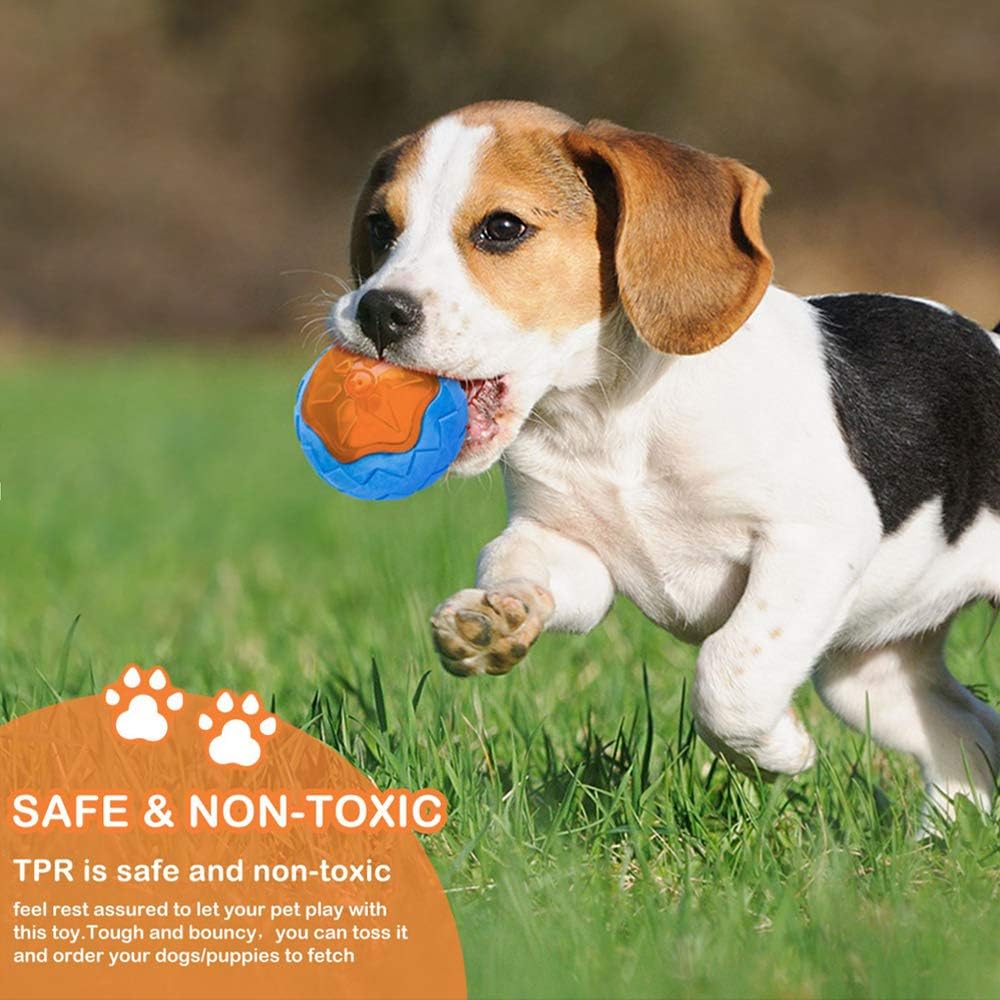 Dog Squeaky Toys Pack 4 Pcs, Pool Toys, Floating Toys for Interactive Fetch & Play, Dog Beach Toy Set, TPR - Image 4