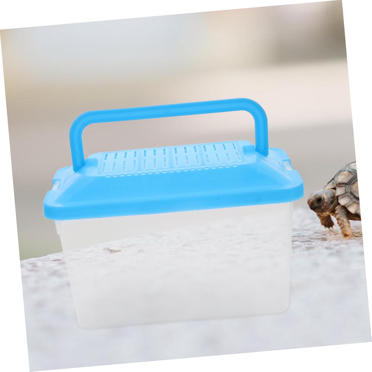 BESPORTBLE Portable Handheld Aquarium Tank for Pets Transparent Turtle Box and Hamster Carrier Lightweight and Compact Design for Travel and Feeding Lid - Image 9