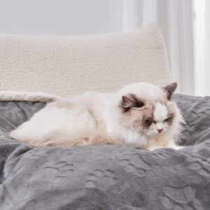 Qeils Dog Blankets for Small Dogs – Waterproof Cat Blanket Washa...