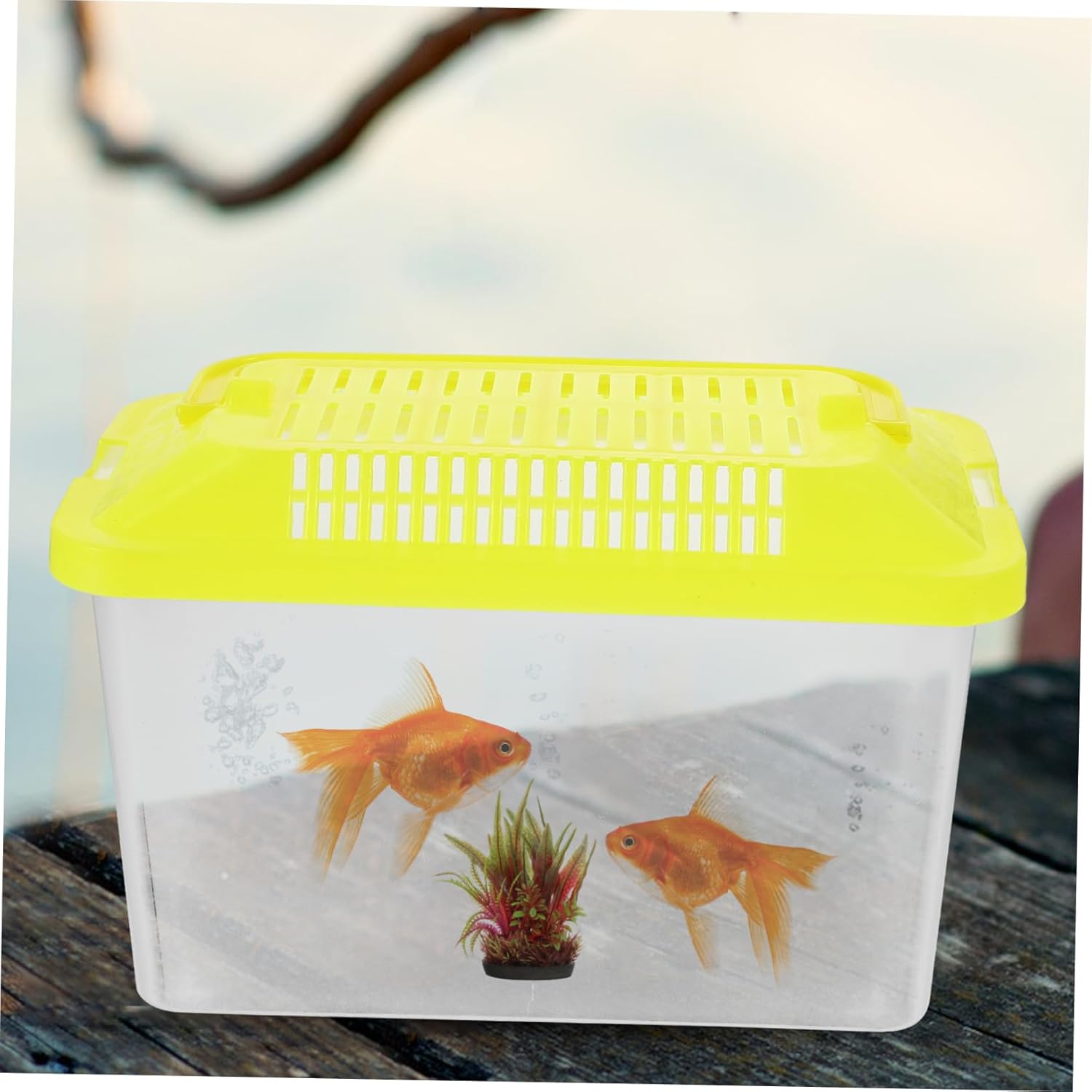 BESPORTBLE Portable Handheld Aquarium Tank for Pets Transparent Turtle Box and Hamster Carrier Lightweight and Compact Design for Travel and Feeding Lid - Image 4