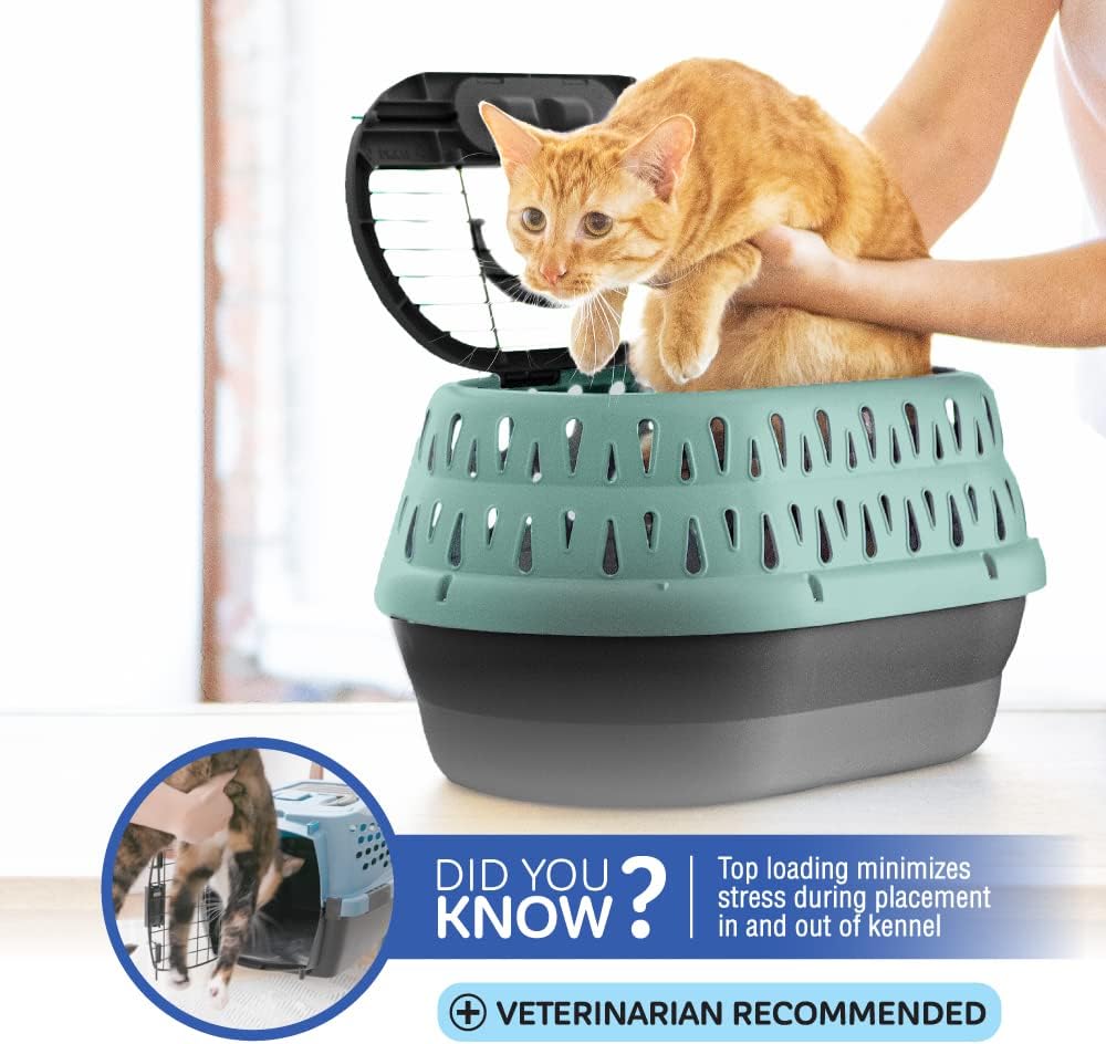 Petmate Dog Crates for Small Dogs & Cat Carriers, One-Door Plastic Pet Kennel, Front Loading, Made in USA, 19", Green - Image 4