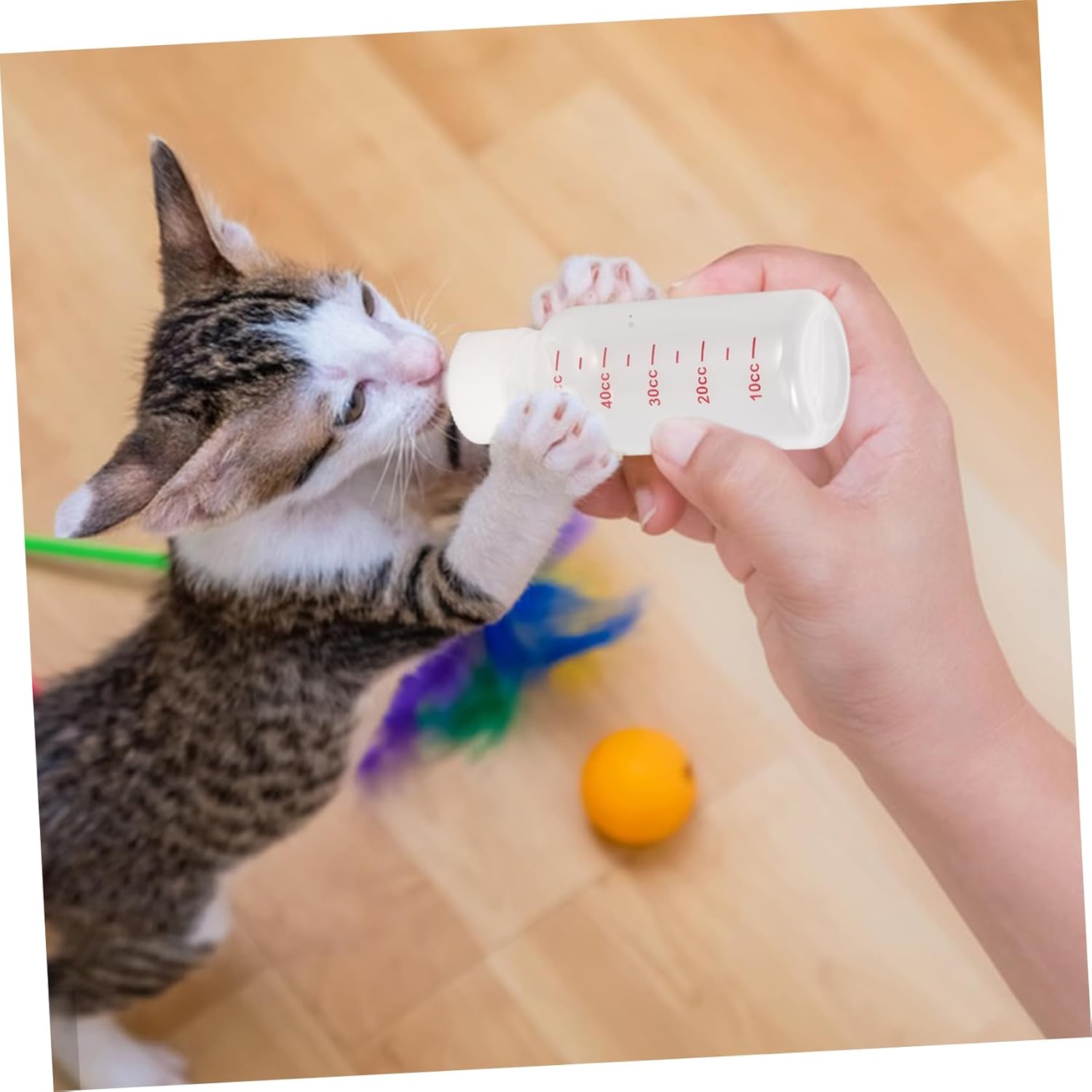 Kisangel 3sets Pet Nursing Bottle for Kittens and Puppies Feeding Kit Lightweight Portable Easy to Use for Hand Feeding Pets - Image 8