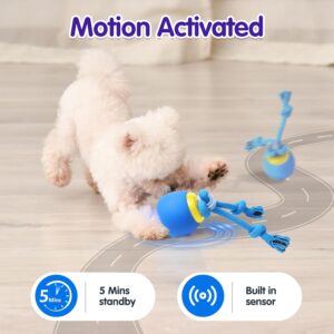 Interactive Dog Toys Electric Dog Ball Touch Wake-up with Dogs Chirpin...