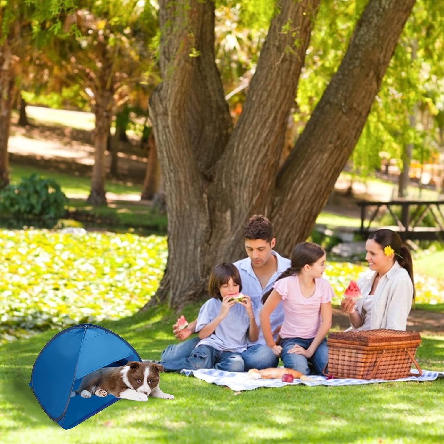 Beach Sun Shelters Pop Up Beach Tent, 1 PCS Portable Sun Shelter Tent for Anti-UV Windproof Camping Picnic Tent Small Dogs Cats and Other Small Pets, Blue - Image 8