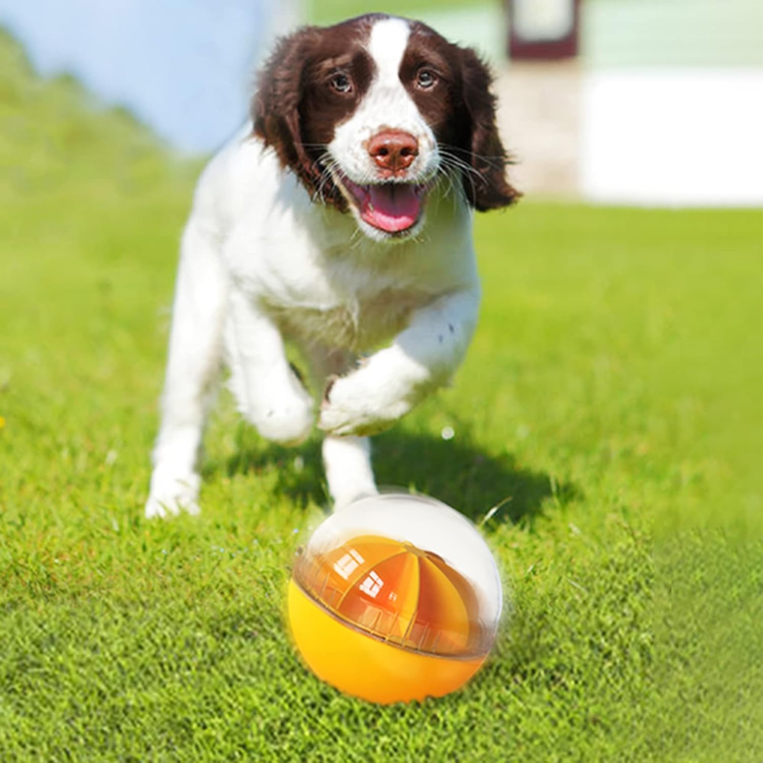 Dog Treat Ball, Interactive Squeaky Mental Stimulation Toys, Slow Feeder Puzzle Toys for Medium/Large Dog Breeds - Image 8