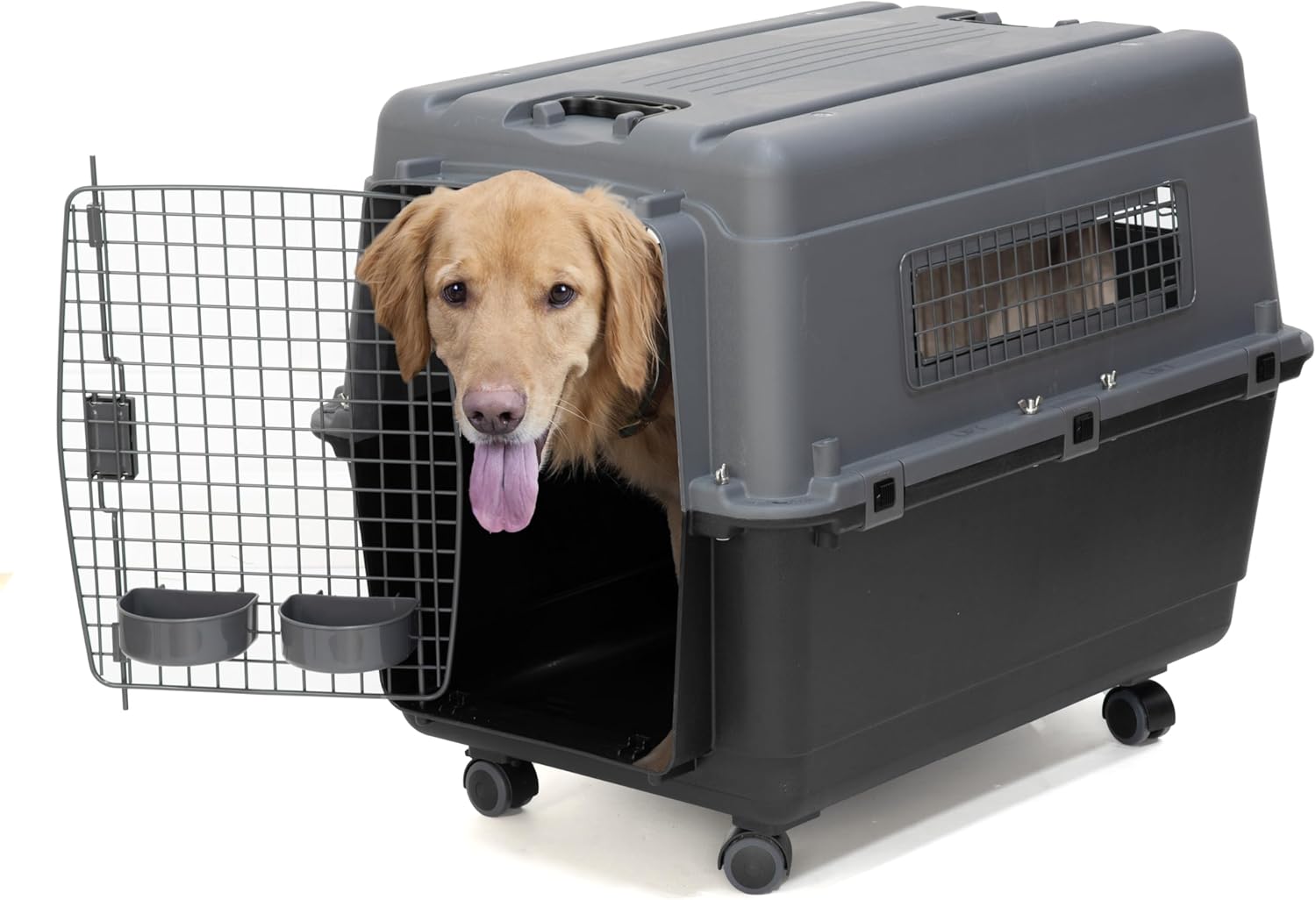 SportPet Designs Plastic Airline Approved Kennels Wire Door Travel Dog Crate, Large - Image 2