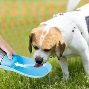 Portable Dog Water Bottle with Dispenser, 750ml Stainless Steel Travel Cup and Collapsible Water Bowl for Outdoor Activities, Walking,Hiking, Road Trips (Light Blue)