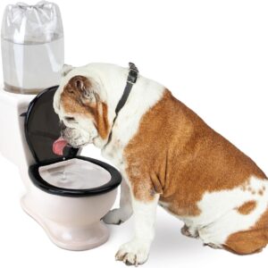 BigMouth Inc The Toilet Water Dish for Pets, Ceramic, Holds 2L Bottle, Funny Bowl for Dogs and Cats