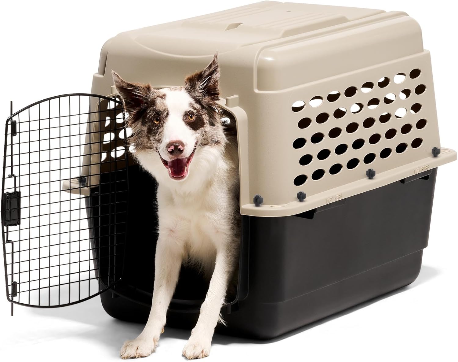 Petmate Vari Dog Kennel - Portable Dog Carriers & Crates for Medium Dogs, Airline-Friendly, Durable Plastic, Pet Carrier For Home and Travel, 32 Inches, Taupe and Black - Image 2