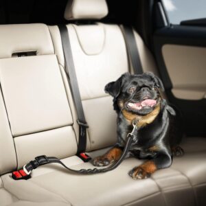 Removable Dog Seat Belt Harness for Car, 3 in 1 Pet Car Seatbelt Leash, Retractable Restraint Secures to Vehicle Headrest & Adjustable Reflective Dog Seatbelt Tether (Grey, Size 1)