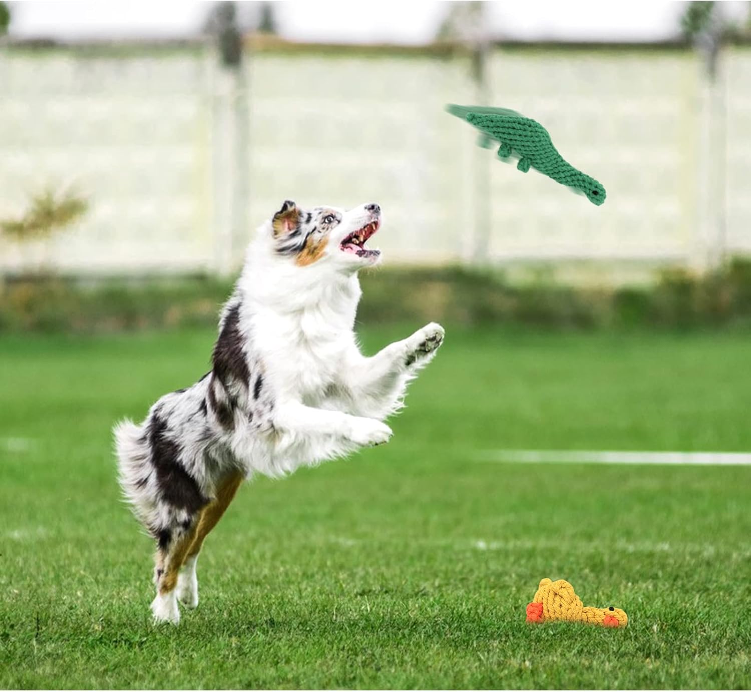 WishLotus 2Pc Dog Rope Toys, Cute Dinosaur and Yellow Duck Shaped Dog Toys for Aggressive Chewers, Cotton Dog Chew Toys for Small Medium Large Breed Teething (Dinosaur+Duck) - Image 4
