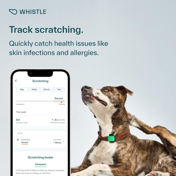 Whistle Health Smart Device | Dog Health and Fitness Tracker | Track Scratching, Licking, Drinking, Eating, Sleeping, and Activity, Green - Image 2