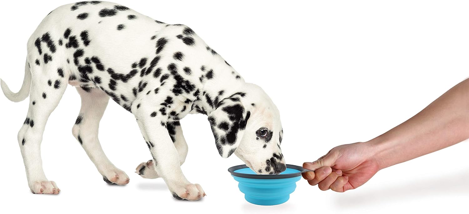 Dexas Popware for Pets Collapsible Travel Cup, Large, Gray/Blue - Image 2
