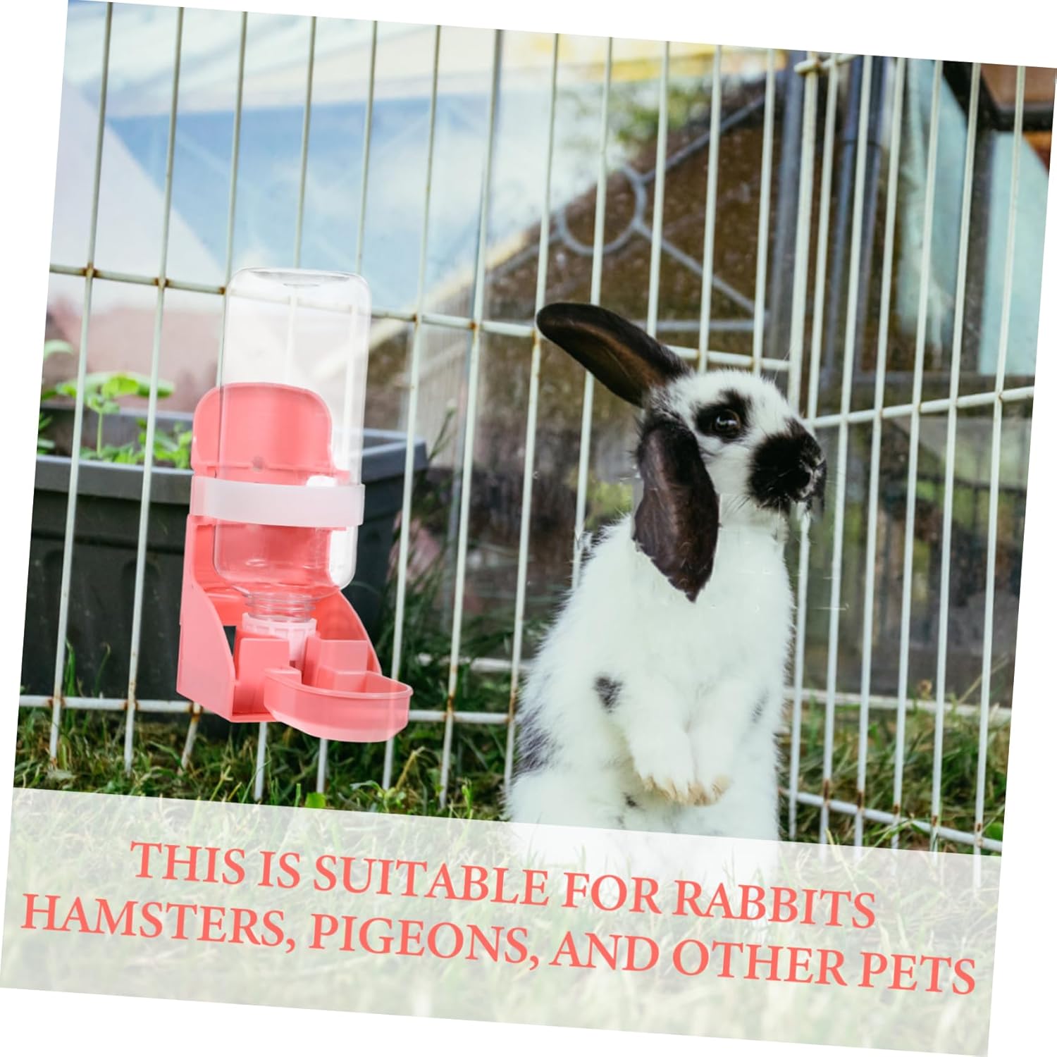 Balacoo Hanging Design Pet Water Feeder Bottle for Cats Dogs Rabbits and Hamsters Portable Leak and Pressure Resistant Automatic Water Dispenser for Home and Travel - Image 9