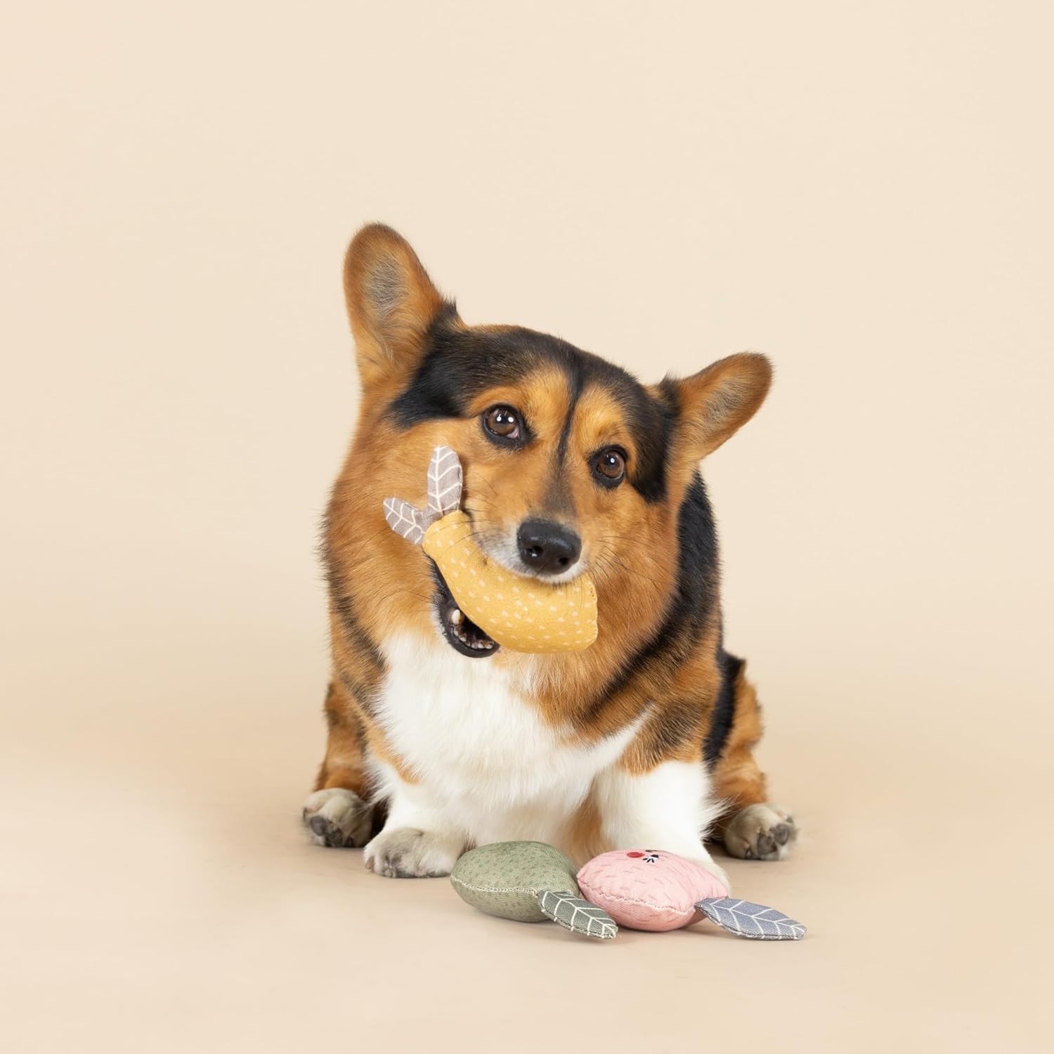 Fringe Studio, "Freshly Picked, Durable Cotton Canvas Small Plush Dog Toy 3PCS Set, PetShop Collection (521021) - Image 5