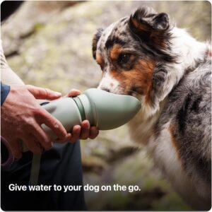 SÄKER Portable Dog Water Bottle, Collapsible Water Bottle for Dogs Perfect for Walking, Hiking and Outdoors | Works as a Portable Water Bowl | Designed in Montreal – 350ml