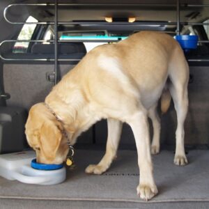 Heininger PortablePET 3059 Waterboy Travel Water Bowl for Pets (Clear), Single