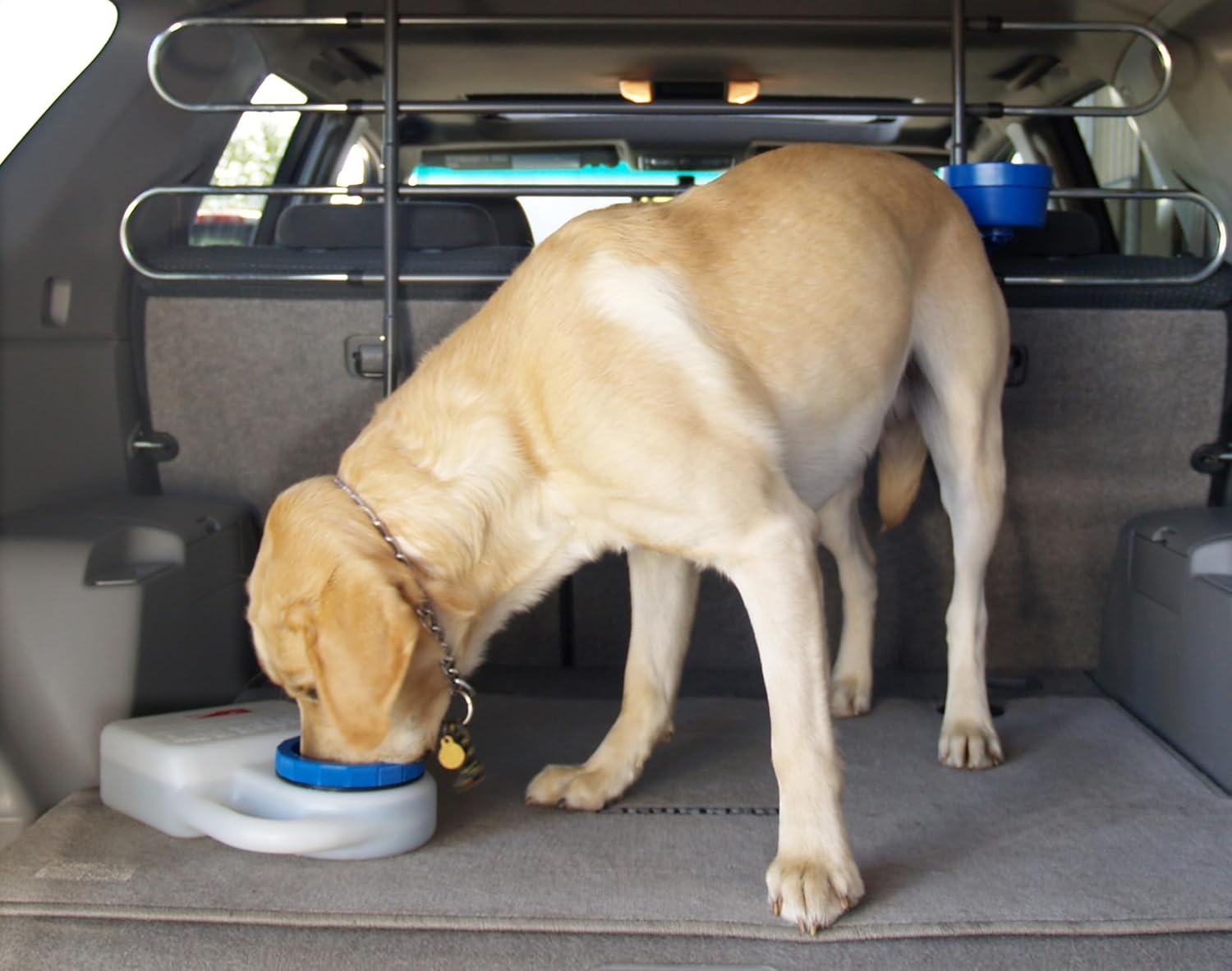 Heininger PortablePET 3059 Waterboy Travel Water Bowl for Pets (Clear), Single - Image 2